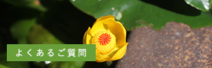 よくあるご質問